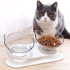 Cat Bowls and Feeding Accessories